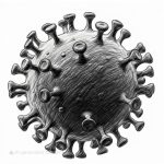 What is Coronavirus Disease  (COVID-19)-2020